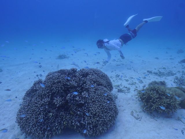 7m�H_Onebreath Irabu