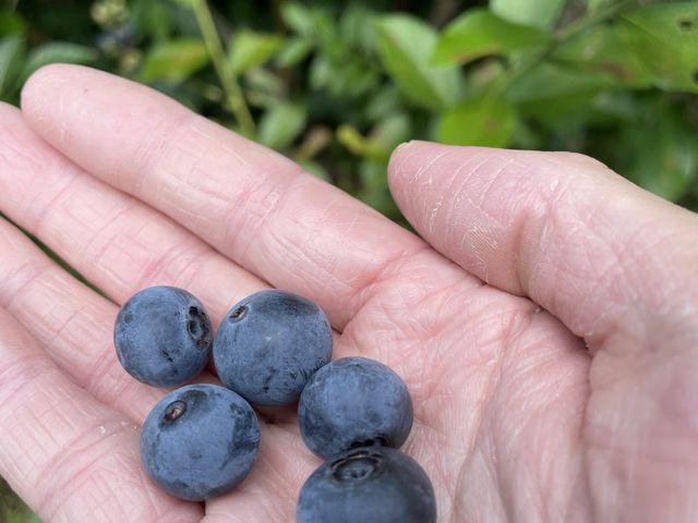 �嗱_�O�g�R�@�`�c�_�Y