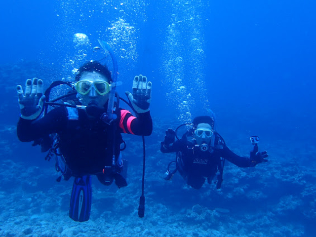 �̌��_�C�r���O���[�̂��[��_�_�C�r���O�T�[�r�X�ɊC