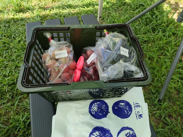 ����Ă������͓̂����̑܂ɓ����Ă邳��Ă��܂���_�X�c�Ԃǂ���