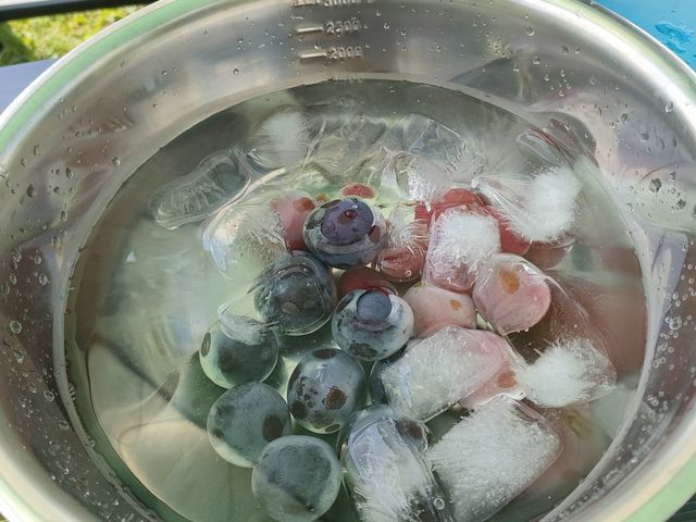 ���X���ŕX����p�ӂ��Ă���A��₵�ĐH�ׂ܂���_�X�c�Ԃǂ���