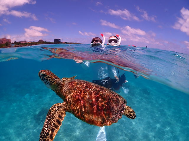 �����������������ŁA���m������킢�킢�r�[�`�ɕύX�ɂȂ����������ŃJ���ɉ�܂���_Lilo Miyakojima