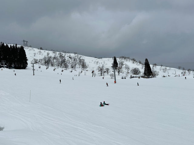 �X�L�[���_���C�J�X�m�[���]�[�g