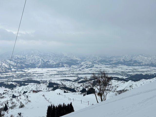 �R�x���[�g
_���C�J�X�m�[���]�[�g