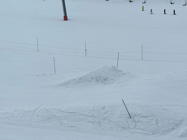 �W�����v��_���C�J�X�m�[���]�[�g