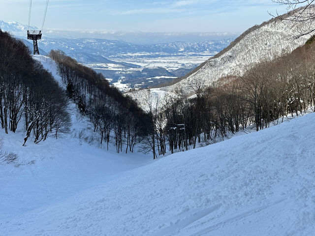 �ؗ��Ƃ��R�[�X_�����X�L�[�p�[�N