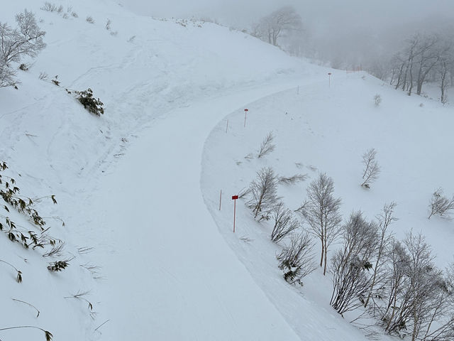 �Q�����f_�c��X�L�[��