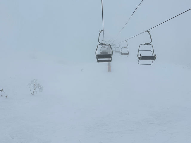 �Q�����f_�c��X�L�[��