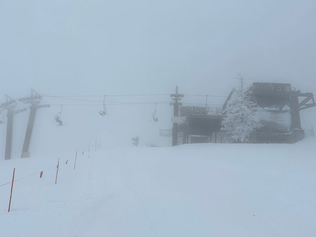 �Q�����f_�c��X�L�[��