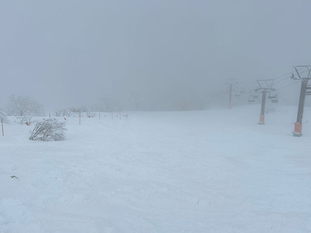 �Q�����f_�c��X�L�[��