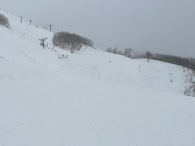 �Q�����f_�c��X�L�[��