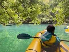 g̃hbv@AEghAKChT[rXւ̓eʐ^1