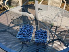 ���܂���񂳂�̂悱�͂܂����Ѓu���[�x���[�̐X�ւ̓��e�ʐ^1