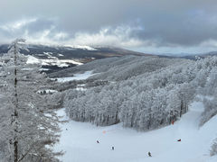 ܂ȂȂ񂳂̐MBpCr[NXL[ւ̓eʐ^2