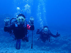 [̃_CrOT[rXɊCւ̓eʐ^1