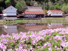 CCꃉC_[̓̉w Cւ̓eʐ^6