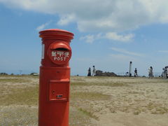 񂳂̈ɐuXJCCւ̓eʐ^5