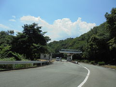 񂳂̈ɐuXJCCւ̓eʐ^8