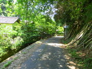 CCꃉC_[̔䌴W̓eʐ^4