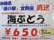 Ƃ񂳂̒ߓcόēỉw@邽j̓eʐ^5