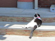 CCꃉC_[̓̉w C̓eʐ^5