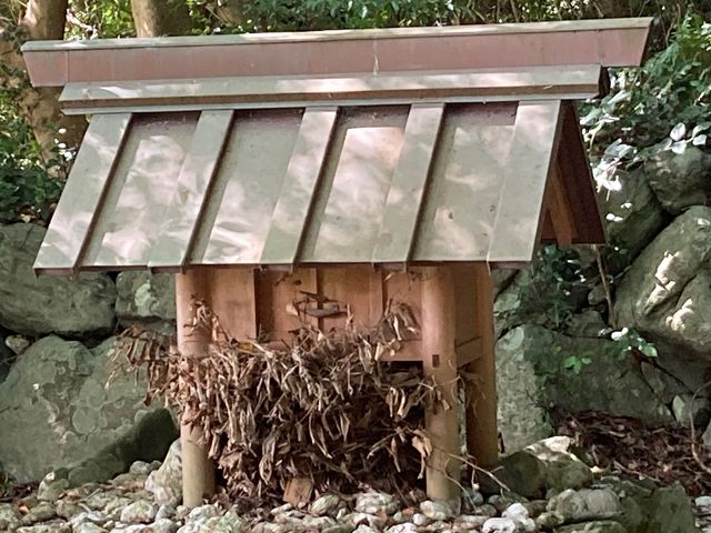 �h�������̂��ߓ�_�h�������̂��ߓ�