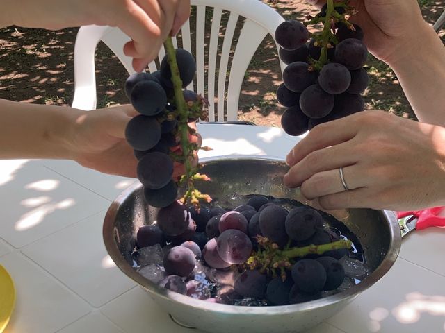 ��₵�Ē����܂���_�X�c�Ԃǂ���