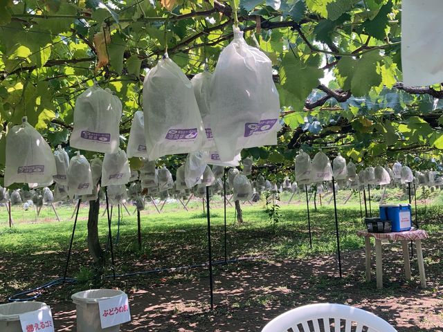 ��������Ȃ��Ă��܂�_�X�c�Ԃǂ���