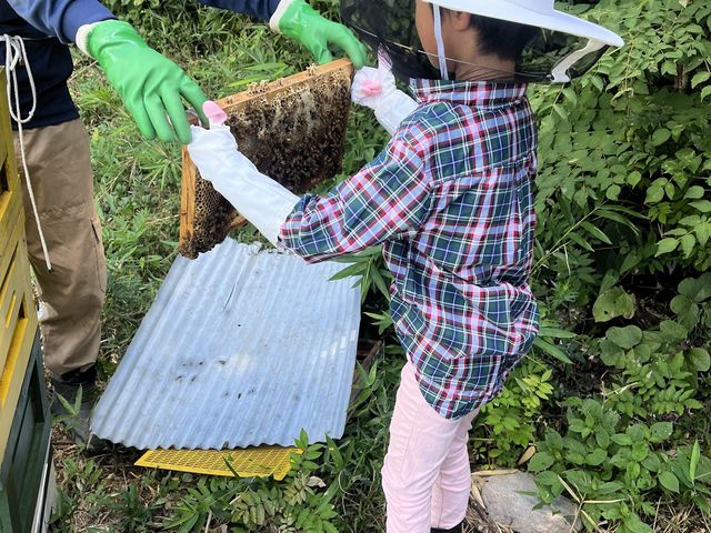 �I�̑����������Ă��炦�Ċ������Ă��܂����B_berich�{�I��@�O�g�R