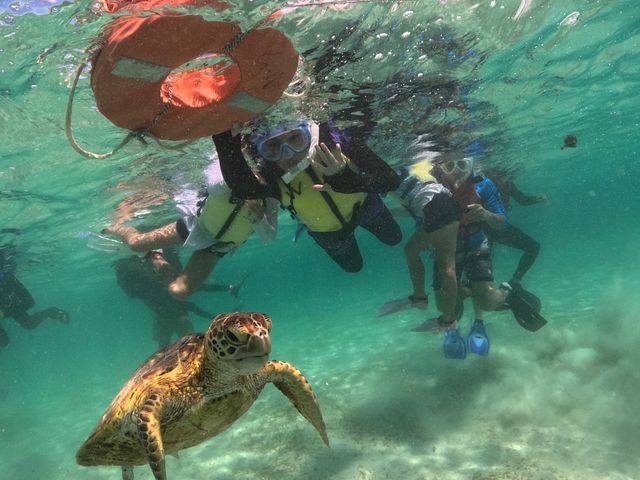 �E�~�K���Ƃ̃c�[�V���b�g
_�V���m�[�P���c�A�[�@��`��