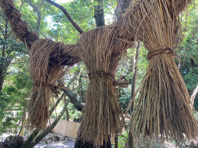 �h�������̂��ߓ�_�h�������̂��ߓ�