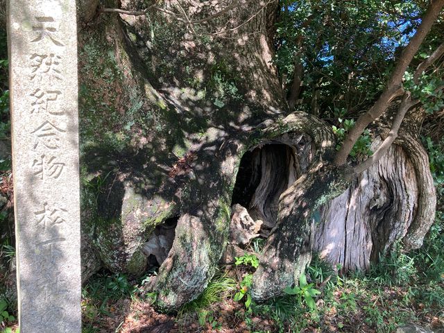 �h�������̂��ߓ�_�h�������̂��ߓ�