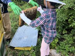 Ȃ񂳂berich{I@OgRւ̓eʐ^1