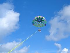 ۂ̐Ί_u[V[T[ւ̓eʐ^1