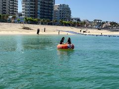 MZ(L)kJCl̉ւ̓eʐ^1