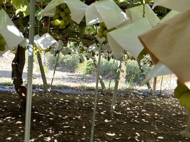 �u�h�E�I�ɂ�������Ȃ��Ă܂��I_�É��b�ʉ�