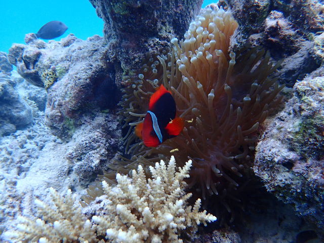 �X�^�b�t�̕��������J�����ŎB�e���Ă������������̂��Ō�ɃG�A�h���b�v�Ŗ����ł��������܂��I_�Ί_���}�����X�e�[�W �N���C��