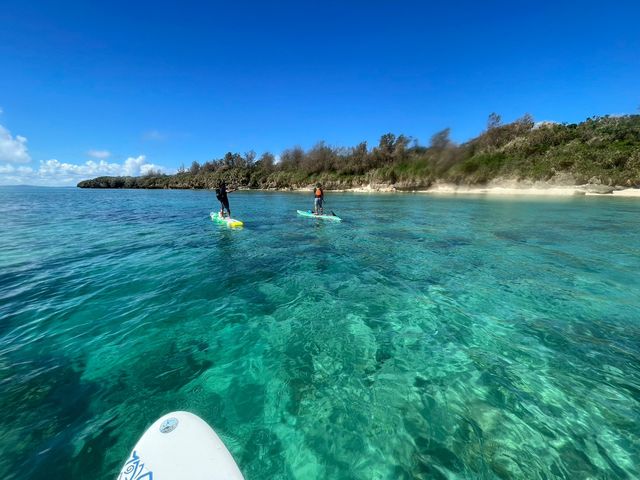 ���꓇���_�e�����[�N�X