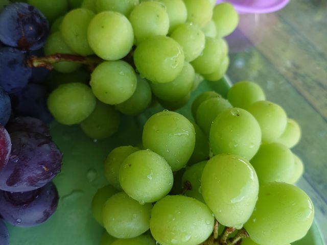 ₽̂oĉ܂I_O[vK[fS_