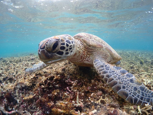 �O��̉����E�~�K������_CHAMP TOUR �{�Ó�