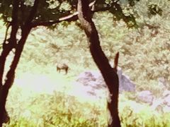 Ղ񂳂́ijmlC`[ItBXւ̓eʐ^1