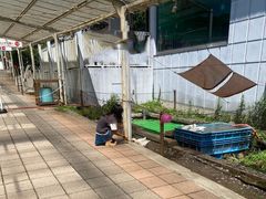 chiha����̔����������قւ̓��e�ʐ^1