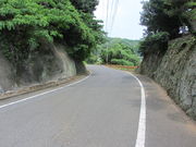 CCꃉC_[̗iRh哇j̓eʐ^2