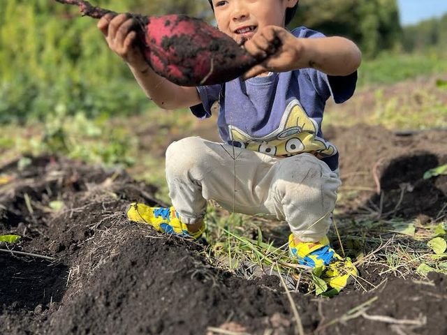 �ł��������I�I_�J�Y��