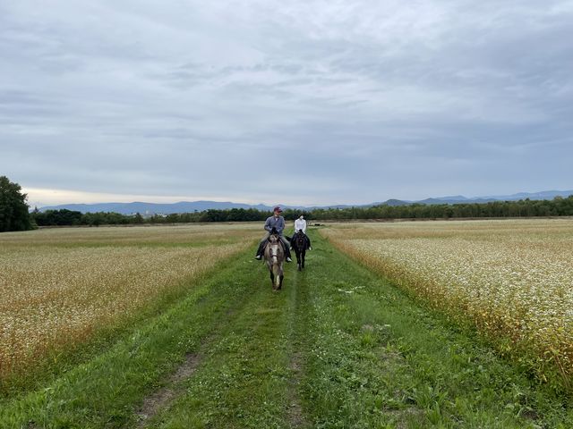 YȌiF̒_tmgbLOT|[gVn