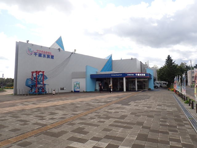 �T�P�̂ӂ邳�Ɛ�ΐ�����