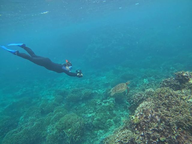 亀さん_marine assist DEMI