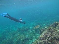 䂫marine assist DEMIւ̓eʐ^1