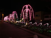 CCꃉC_[̈̍쉈̓eʐ^5