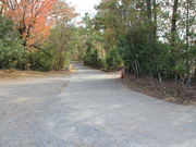 CCꃉC_[̂߂̃eX̓eʐ^6